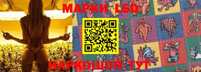 МДПВ Заволжье