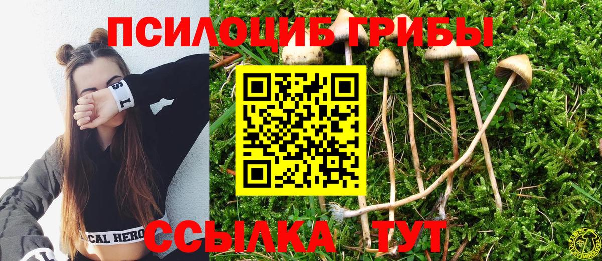 Псилоцибиновые грибы Magic Shrooms  как найти   Люберцы  Вход с VPN 